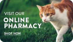 online pharmacy button